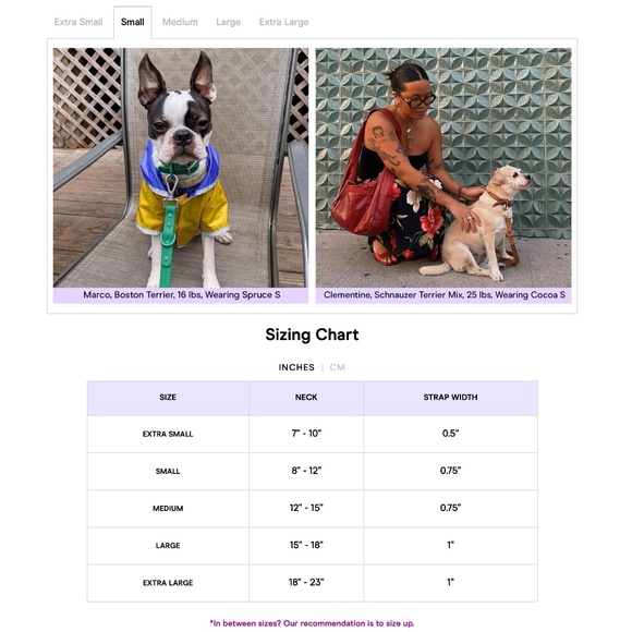 Wild One Collar - Moss - Small - Picture 8 of 8